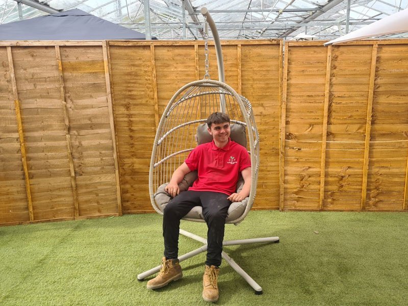 Austin tulip hanging cocoon chair sales