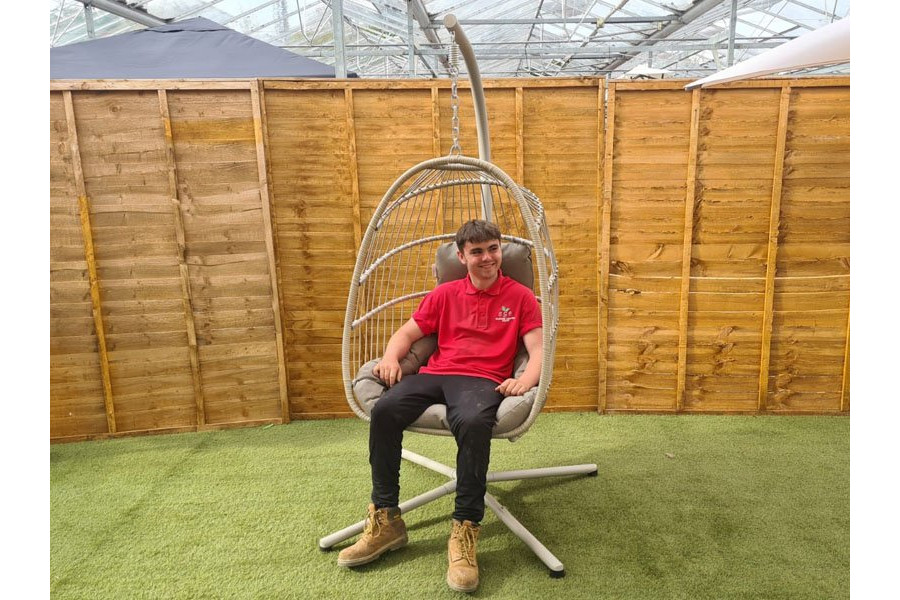 Tulip Cocoon Hanging Rattan Chair in Cream Sapcote Garden Centre