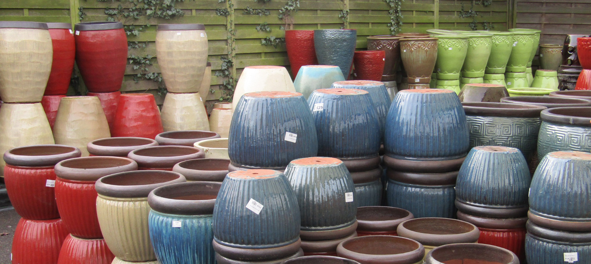 Sapcote Garden Centre (Leicester's 1) Amazing Spring 2020 Deals!