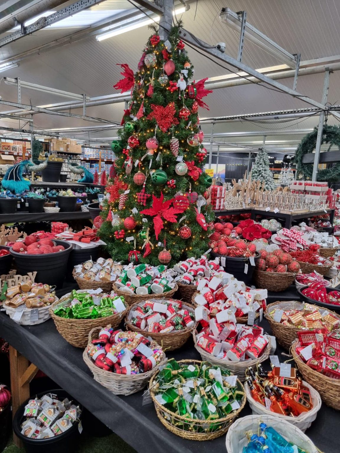 Christmas Decorations Leicester 2023 Sapcote Garden Centre