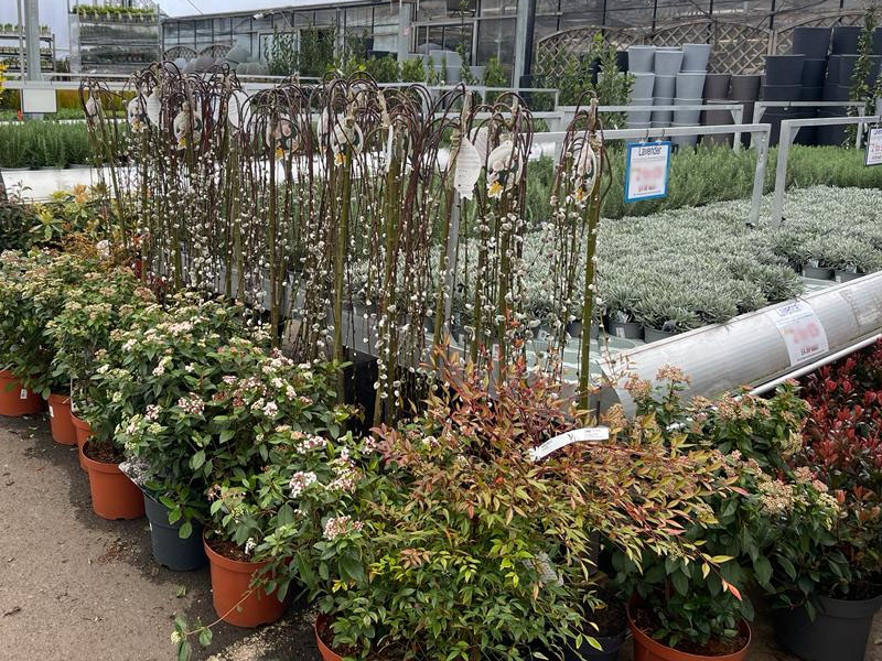 plants-garden-centre