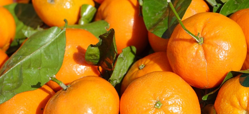 clementine