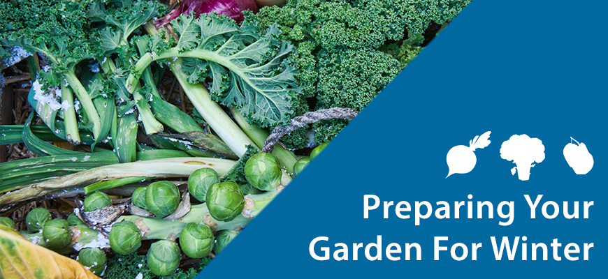preparing garden for winter