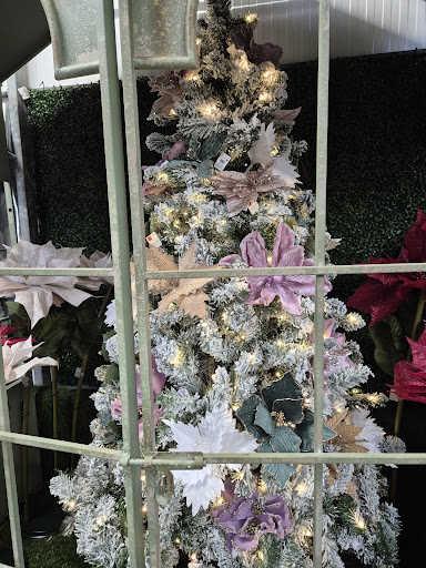 Photo from customer review