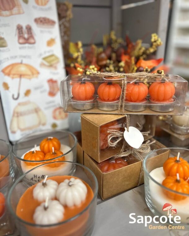 sgc fb autumn candles