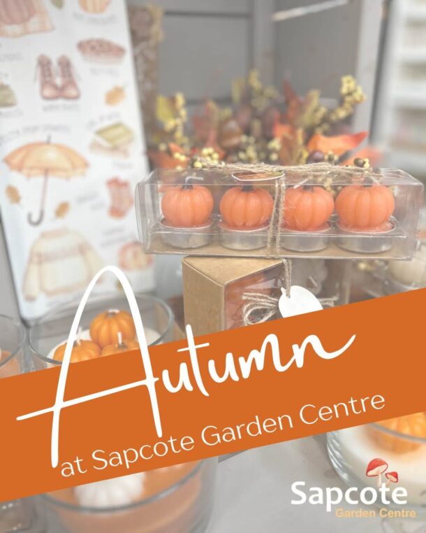sgc fb autumn graphic