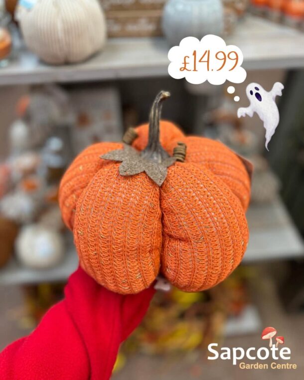 sgc fb autumn knitted pumpkin